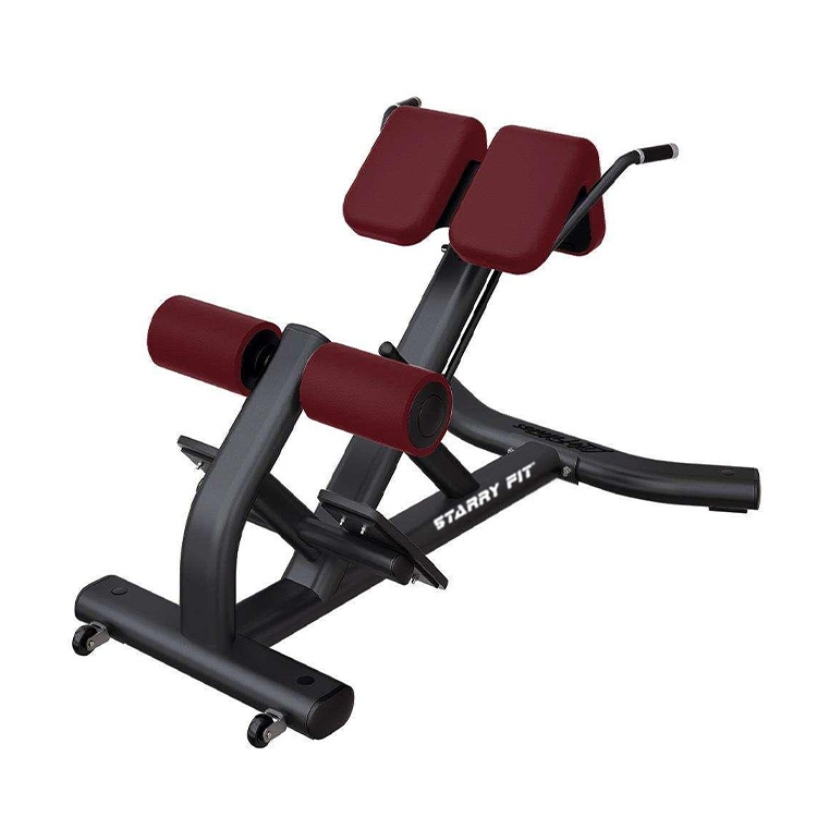 Ekstensi Belakang<br />LF-B-SBE